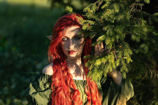 Narga_Lifestream
